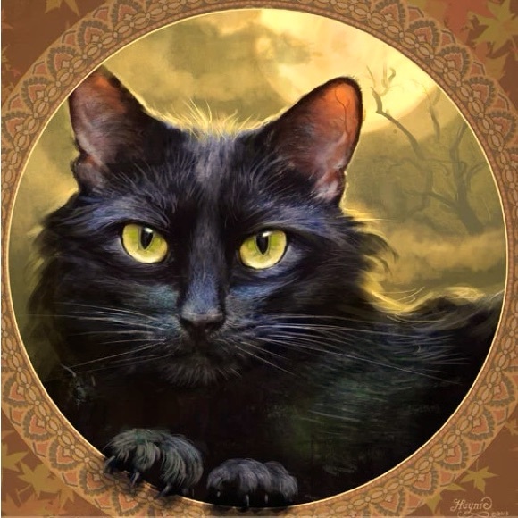 Meet your Posher, Dustin - Picture 1 of 1